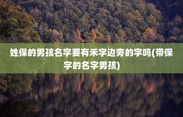 姓保的男孩名字要有禾字边旁的字吗(带保字的名字男孩)