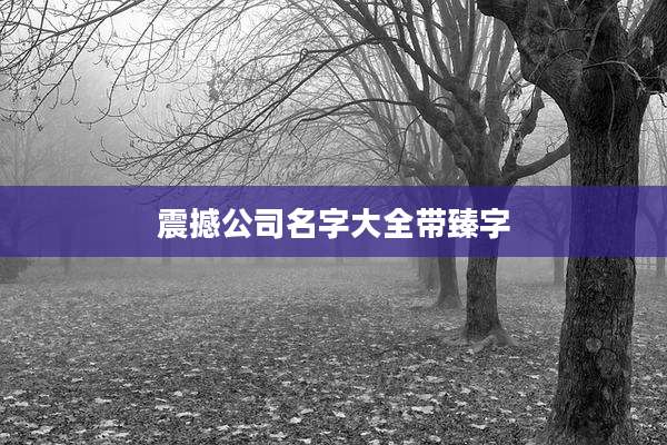 震撼公司名字大全带臻字