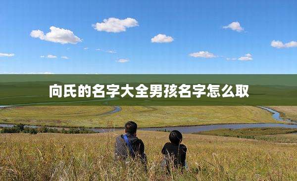 向氏的名字大全男孩名字怎么取