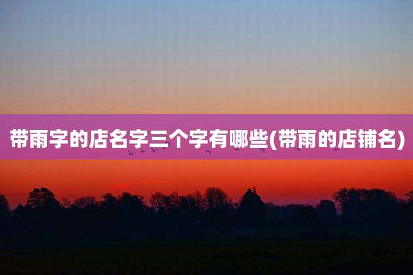 带雨字的店名字三个字有哪些(带雨的店铺名)