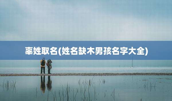 辜姓取名(姓名缺木男孩名字大全)
