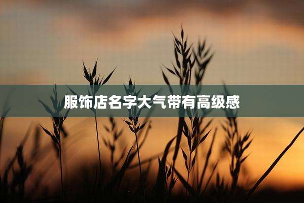 服饰店名字大气带有高级感