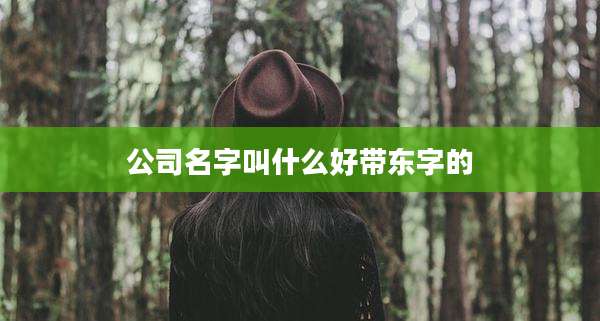 公司名字叫什么好带东字的