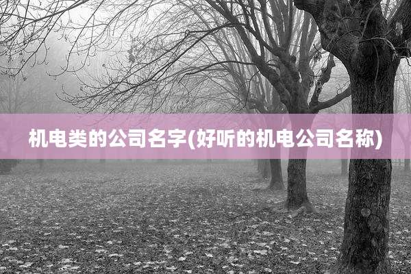 机电类的公司名字(好听的机电公司名称)