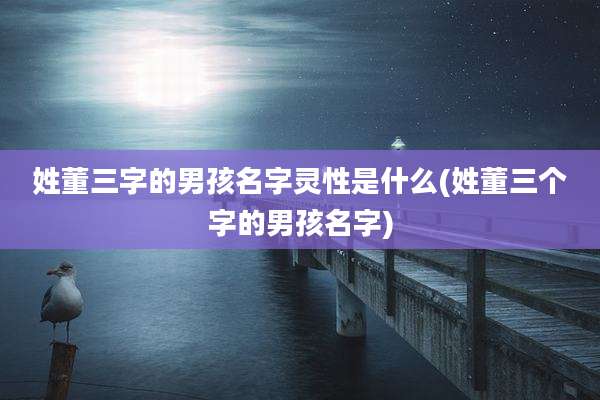 姓董三字的男孩名字灵性是什么(姓董三个字的男孩名字)
