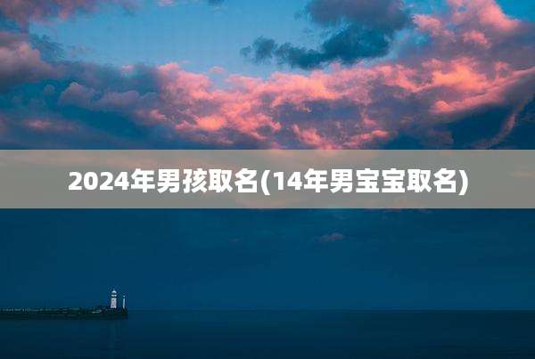 2024年男孩取名(14年男宝宝取名)