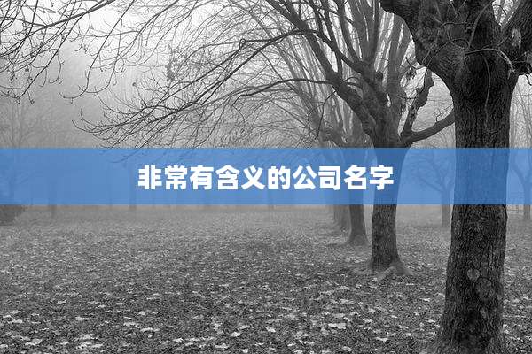 非常有含义的公司名字