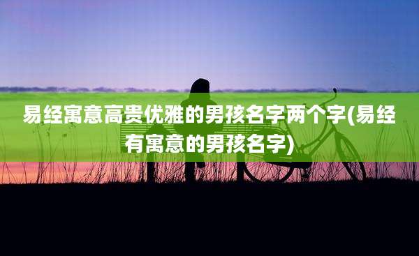易经寓意高贵优雅的男孩名字两个字(易经有寓意的男孩名字)