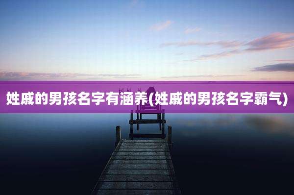 姓戚的男孩名字有涵养(姓戚的男孩名字霸气)