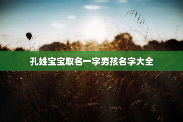 孔姓宝宝取名一字男孩名字大全