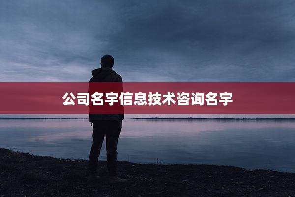 公司名字信息技术咨询名字