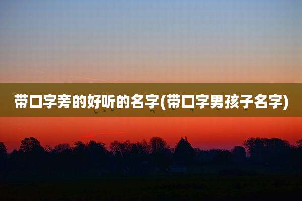 带口字旁的好听的名字(带口字男孩子名字)