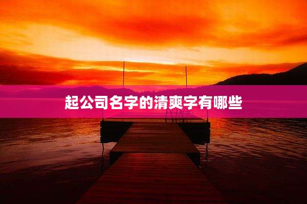起公司名字的清爽字有哪些