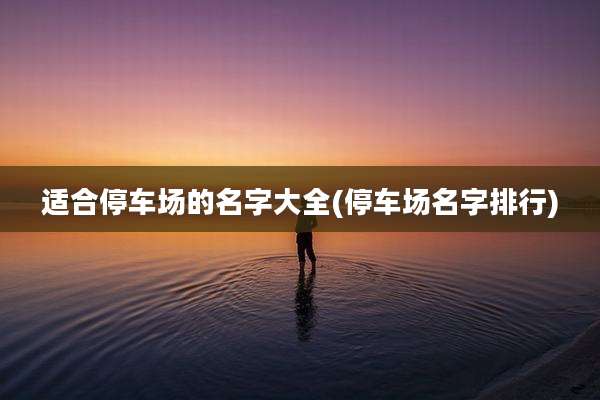 适合停车场的名字大全(停车场名字排行)