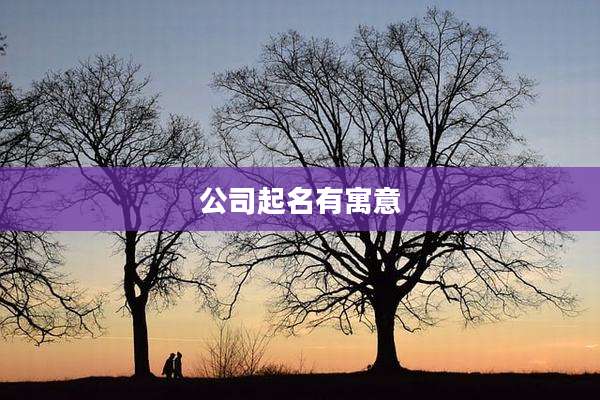 公司起名有寓意