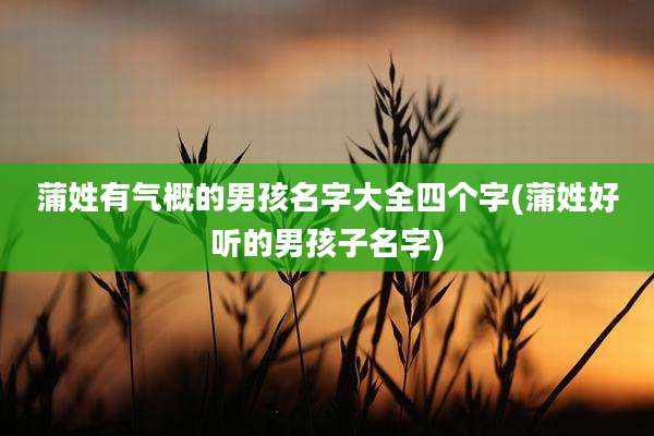 蒲姓有气概的男孩名字大全四个字(蒲姓好听的男孩子名字)