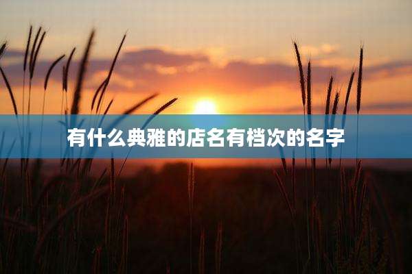 有什么典雅的店名有档次的名字