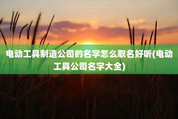 电动工具制造公司的名字怎么取名好听(电动工具公司名字大全)