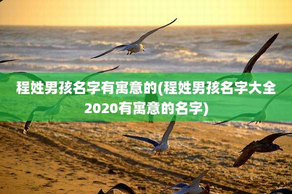 程姓男孩名字有寓意的(程姓男孩名字大全2020有寓意的名字)