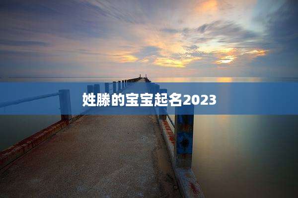 姓滕的宝宝起名2023