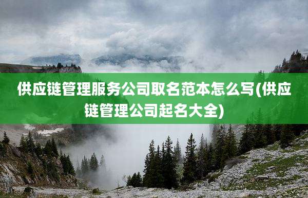供应链管理服务公司取名范本怎么写(供应链管理公司起名大全)