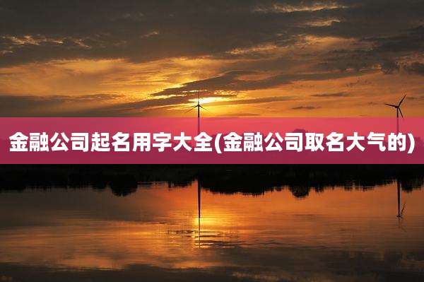 金融公司起名用字大全(金融公司取名大气的)