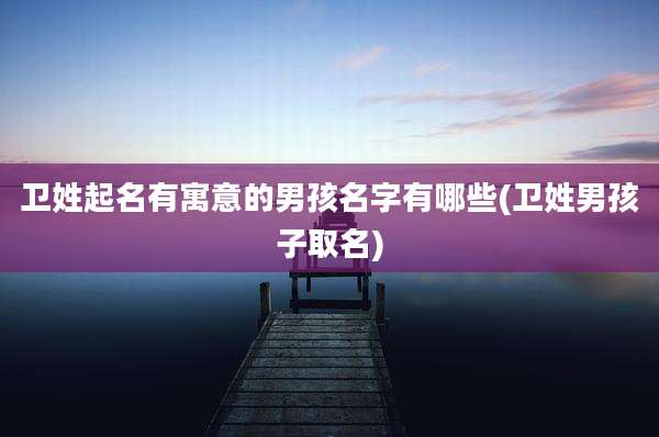 卫姓起名有寓意的男孩名字有哪些(卫姓男孩子取名)