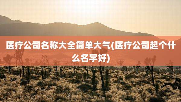 医疗公司名称大全简单大气(医疗公司起个什么名字好)