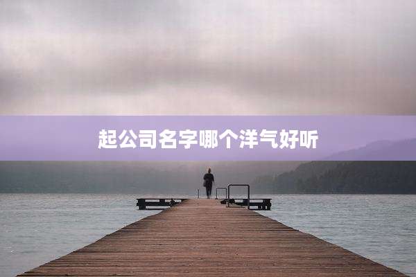 起公司名字哪个洋气好听