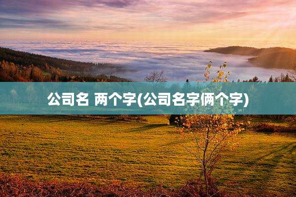 公司名 两个字(公司名字俩个字)