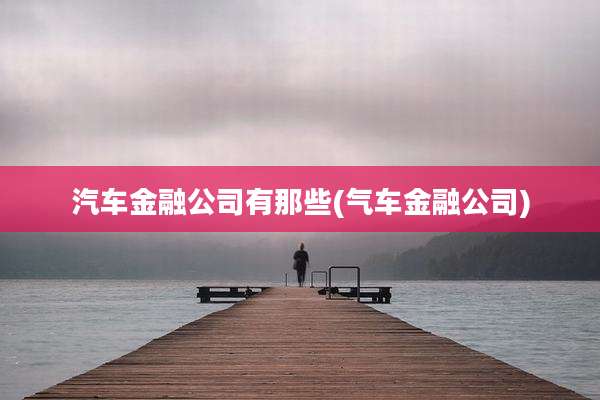 汽车金融公司有那些(气车金融公司)