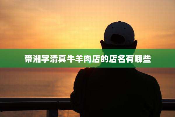 带湘字清真牛羊肉店的店名有哪些