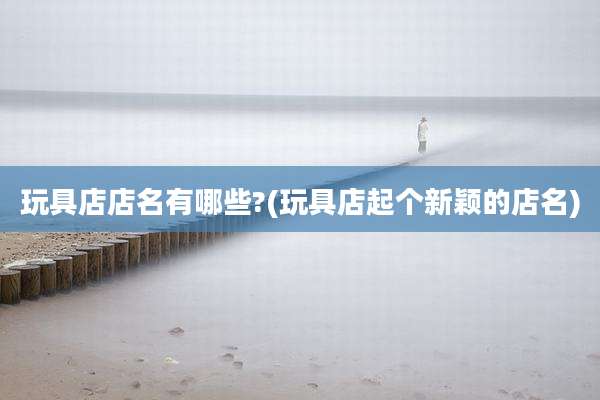 玩具店店名有哪些?(玩具店起个新颖的店名)