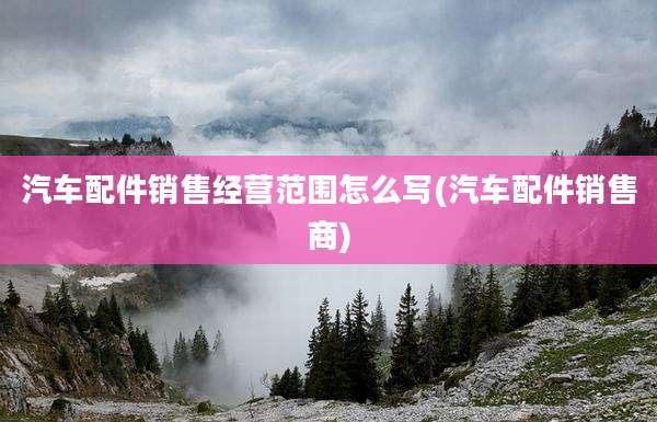 汽车配件销售经营范围怎么写(汽车配件销售商)
