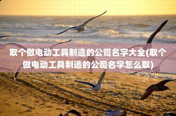 取个做电动工具制造的公司名字大全(取个做电动工具制造的公司名字怎么取)