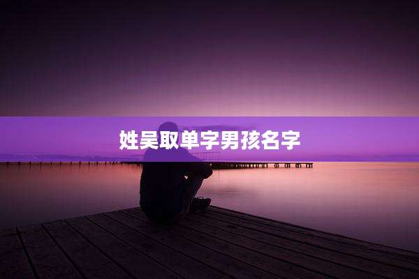 姓吴取单字男孩名字
