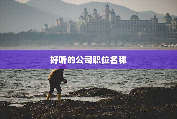 好听的公司职位名称