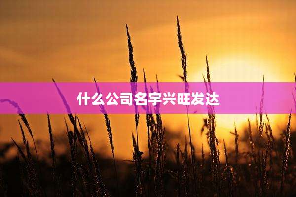 什么公司名字兴旺发达
