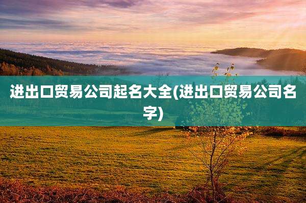进出口贸易公司起名大全(进出口贸易公司名字)