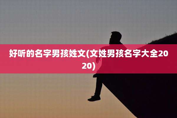 好听的名字男孩姓文(文姓男孩名字大全2020)