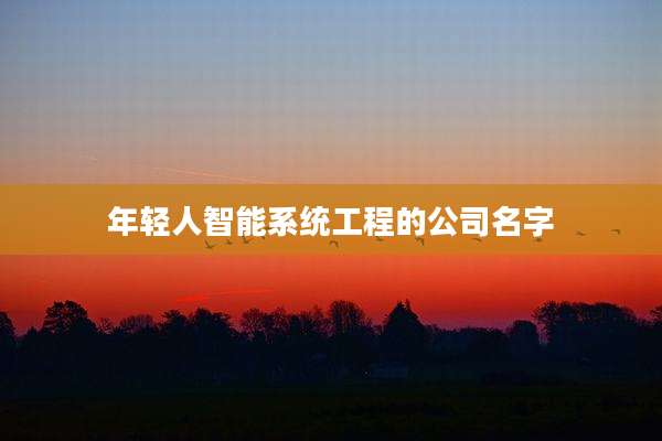 年轻人智能系统工程的公司名字