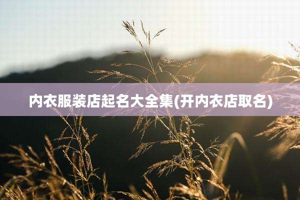 内衣服装店起名大全集(开内衣店取名)