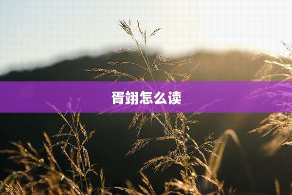 胥翊怎么读