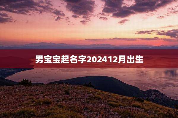 男宝宝起名字202412月出生