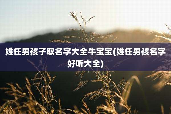 姓任男孩子取名字大全牛宝宝(姓任男孩名字好听大全)