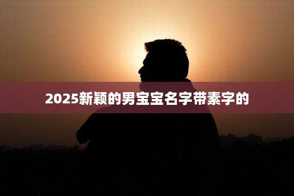 2025新颖的男宝宝名字带素字的