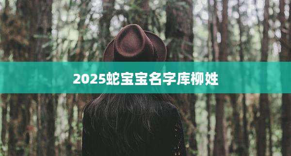 2025蛇宝宝名字库柳姓