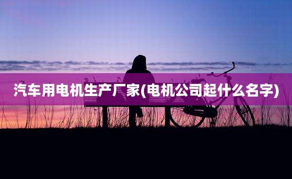 汽车用电机生产厂家(电机公司起什么名字)