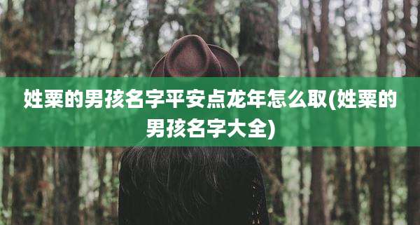姓粟的男孩名字平安点龙年怎么取(姓粟的男孩名字大全)