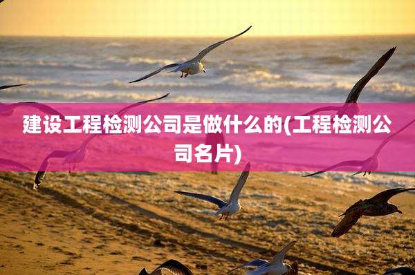建设工程检测公司是做什么的(工程检测公司名片)
